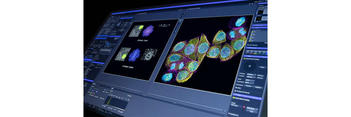 Zeiss ZEN Blue Imaging Software